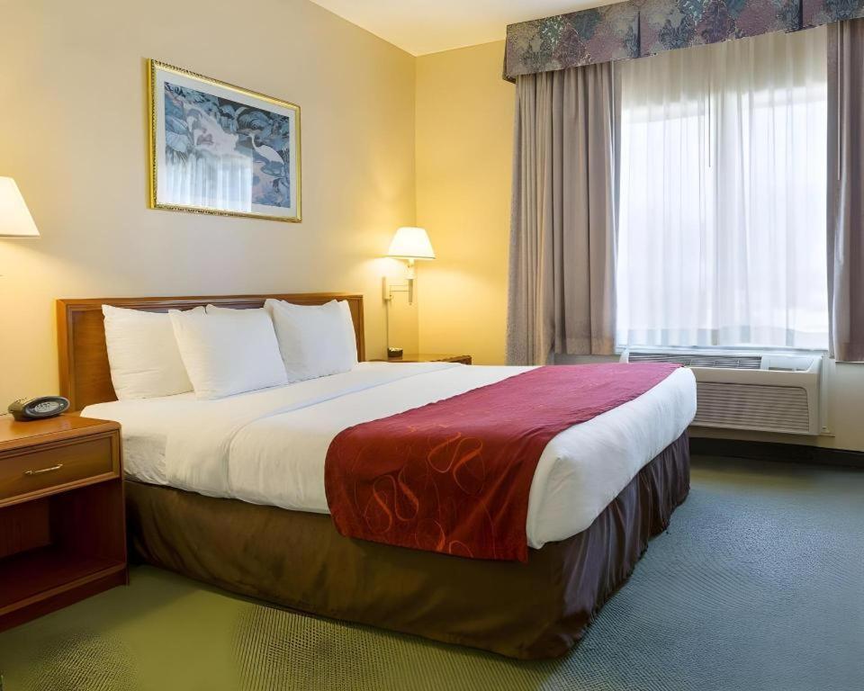 Comfort Suites La Porte - Baytown Eksteriør billede